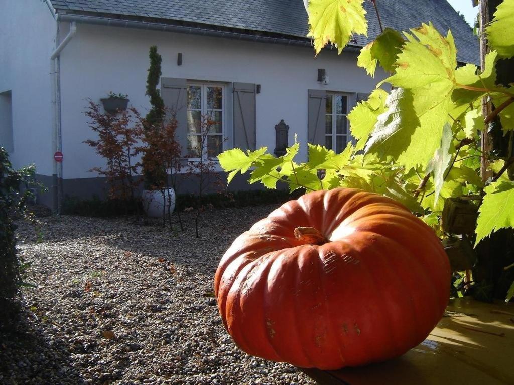 Gite Cottage D'Hamicourt Aux Portes De La Baie De Somme Eksteriør billede